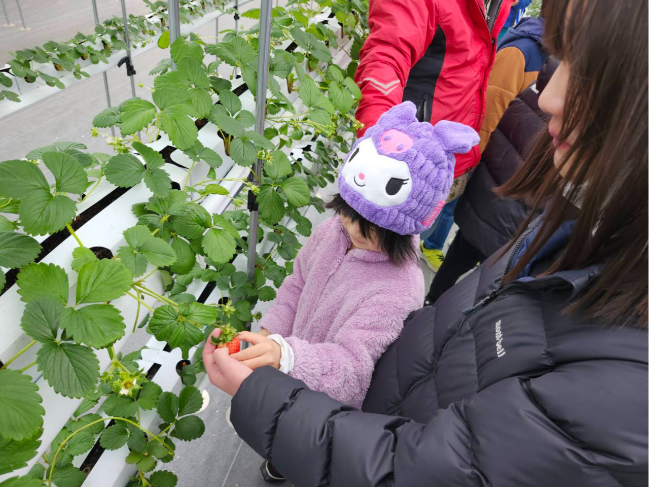 w܂ł̂q܂͈ԉ̒ĩC`S₷łB