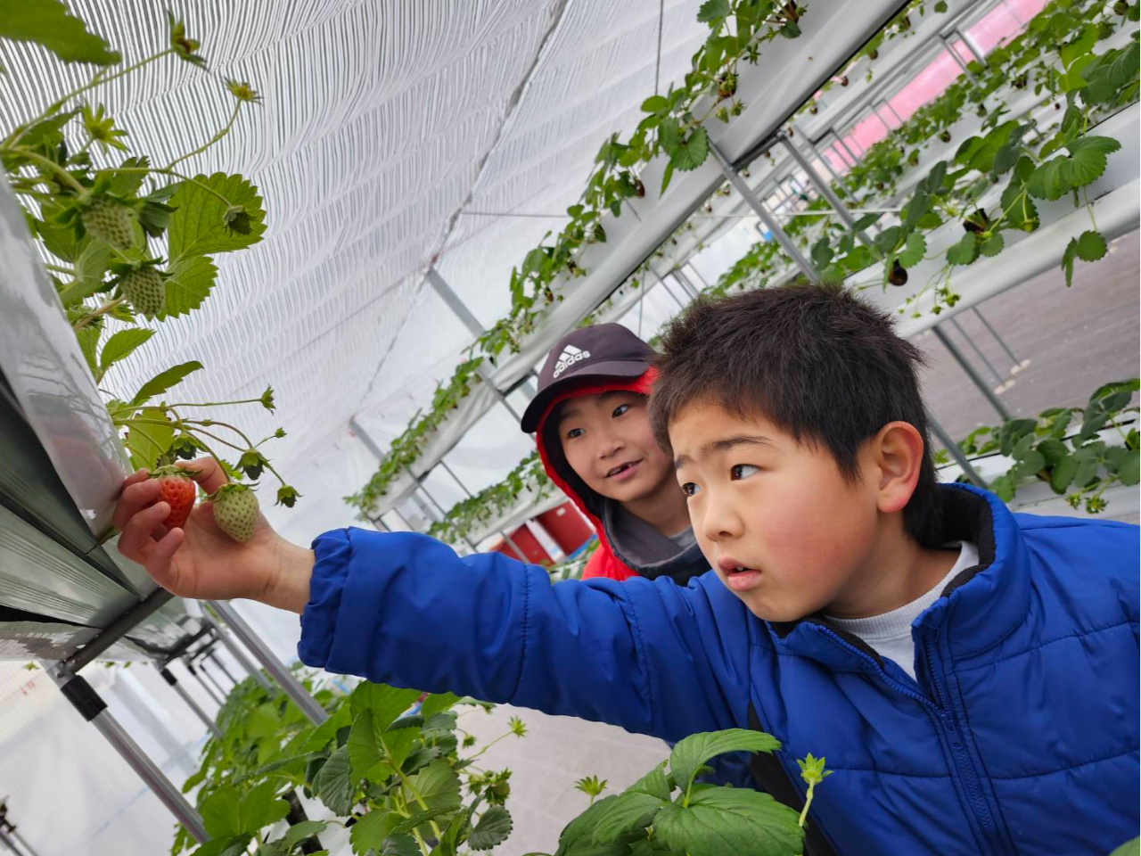 wZwN̂q܂͐^񒆂̒iƉ̒i₷ȂĂ܂B