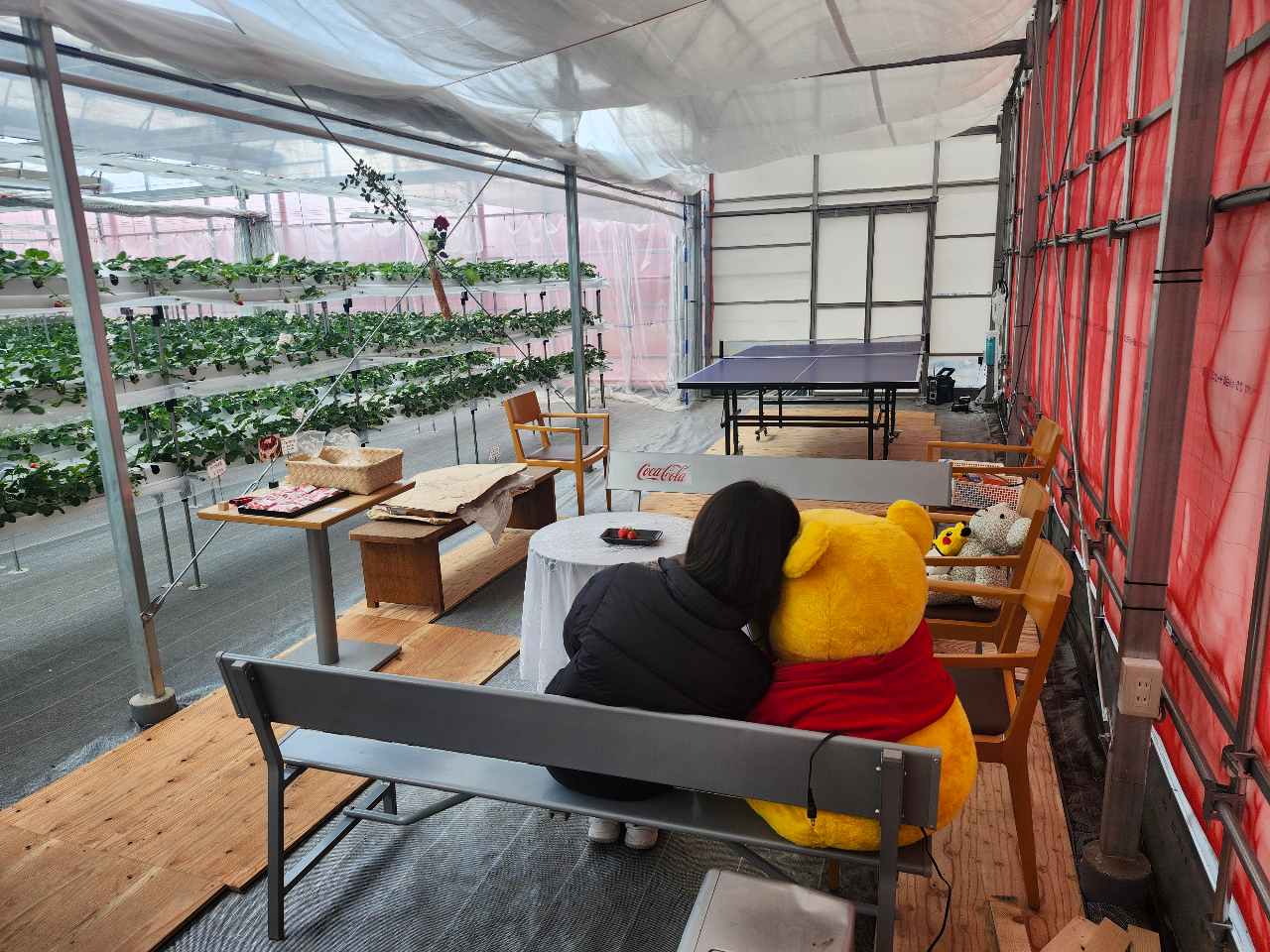 xeꏊł́A₨pӂĂ܂B