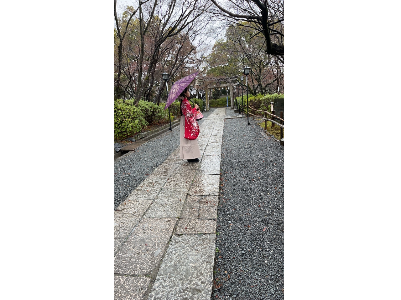 Js@юp@ւ̖ڎPvoɉԂYĂ܂