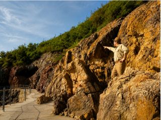 火山と海が刻んだ仙酔島の絶景を、地層・断層・海蝕洞から読み解く。旅の締めくくりは、大地を映した特製ジオランチ。