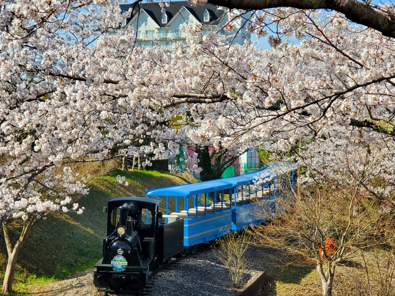 �t�͍����Y��ł��I