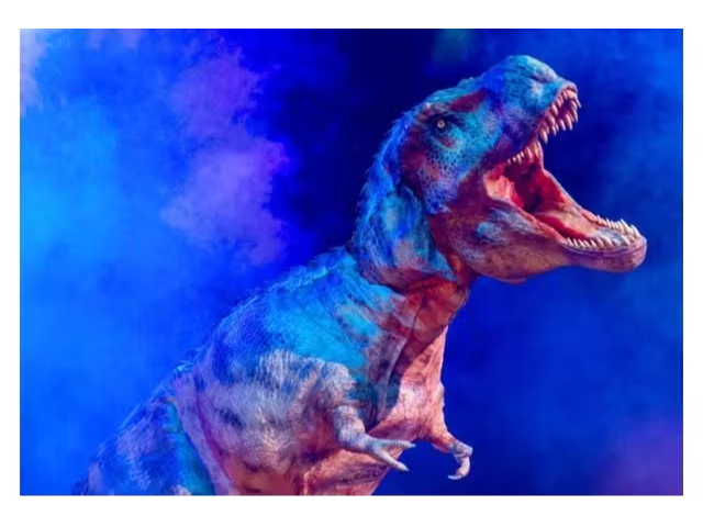 S席】恐竜ラボ!キング・オブ・ハンターズ from DINO-A-LIVE S席】恐竜ラボ!キング・オブ・ハンターズ from DINO-A-LIVE