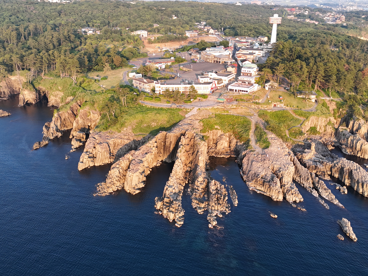 i̒ߗL镟䌧̓qVB[zf閼ƂĂLłB