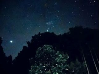 満点の星空♪大自然ならではの景色は実際の目で見ると更に感動的です^^