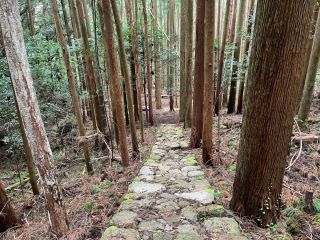 自然がいっぱいです