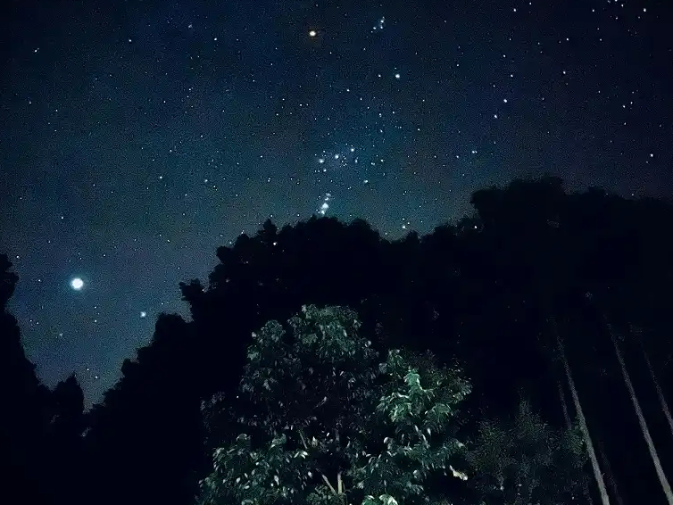 _̐厩RȂł͂̌iF͎ۂ̖ڂŌƍXɊIłOO