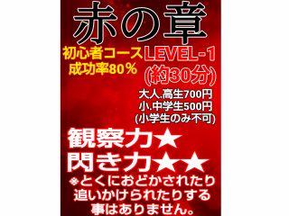 閃けば早い。赤い光のライトで探索します。赤い光が重要な手掛かりとなります。