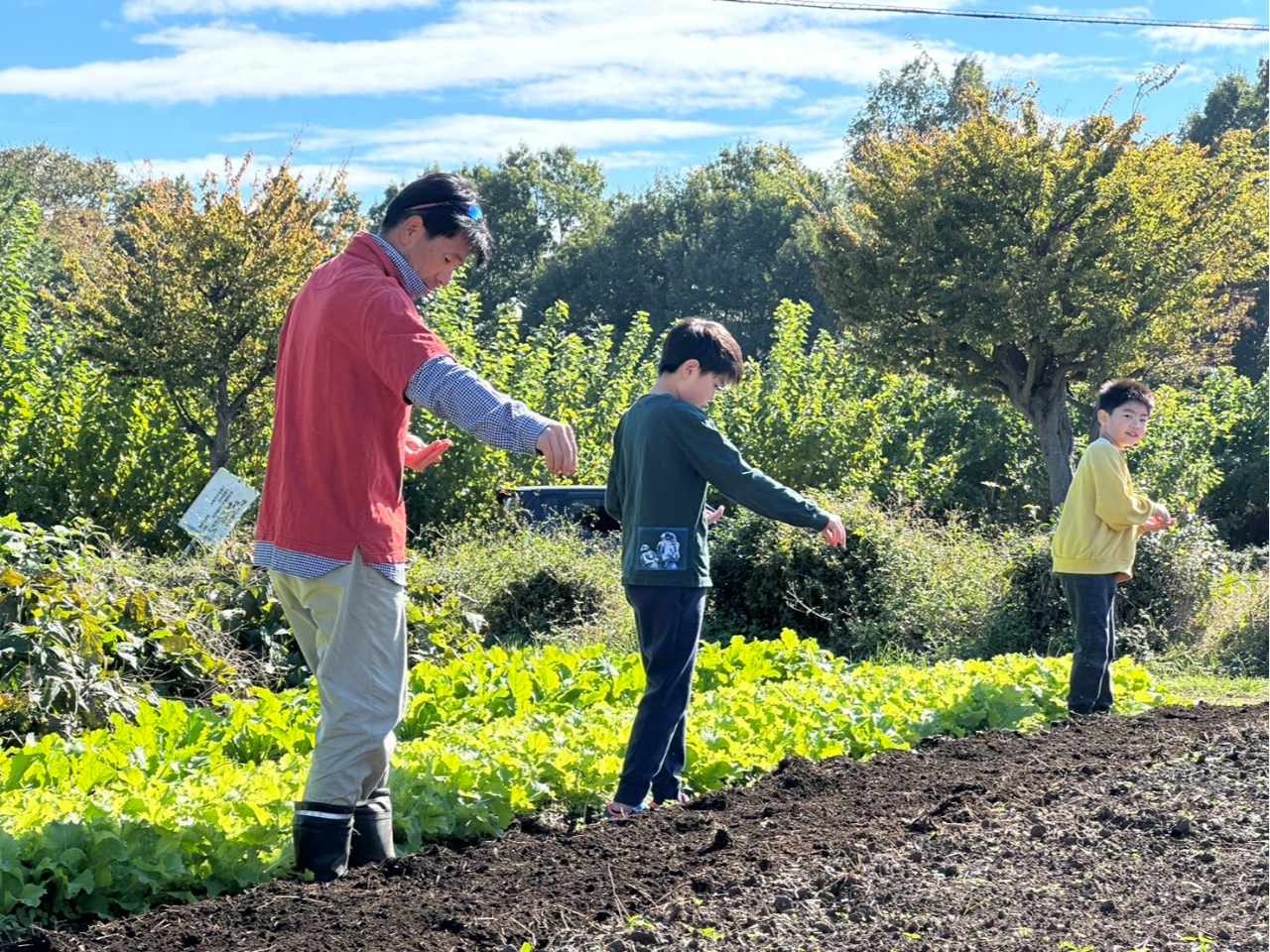 _Ƒ̌͐Ax𗧂ĂA펪Ă܂Inł͂ȂAlXȔ_Ƒ̌ł܂I