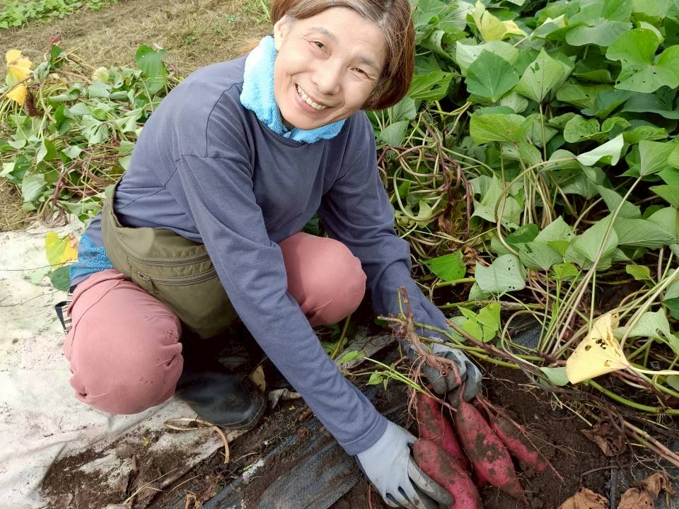 ܂̑N₩ȐFVNȂ̂ŉ@ĂCǂłˁI