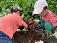 あまり経験できないので、子供たちは無我夢中に掘ってます!