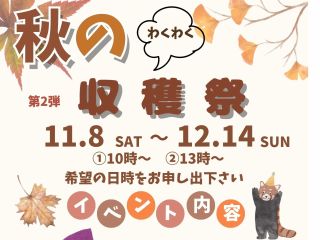 さんさん自然農園&エコビレッジでは、現在秋の収穫祭(さつまいも掘り)を開催中です(^_-)-☆