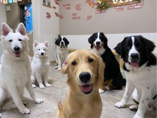 一列の集合写真を撮ろうとした時の様子です!いい感じにシンメトリーに可愛く撮れたので、結果オーライです☆