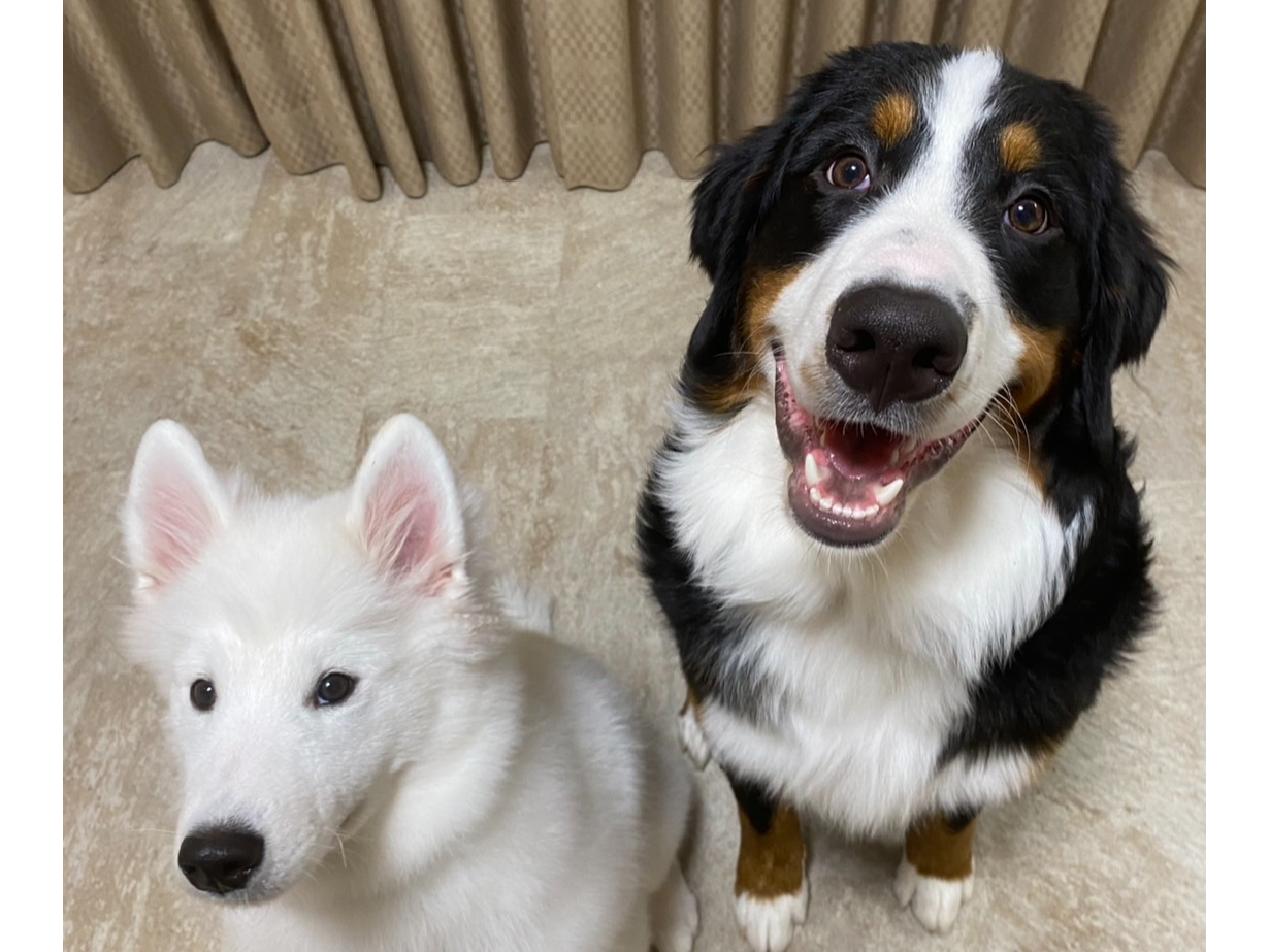 ӂ(FTGh)ƁAЂ܂(EFo[j[Y}EehbO)̃c[VbgłBږڂ肭聙