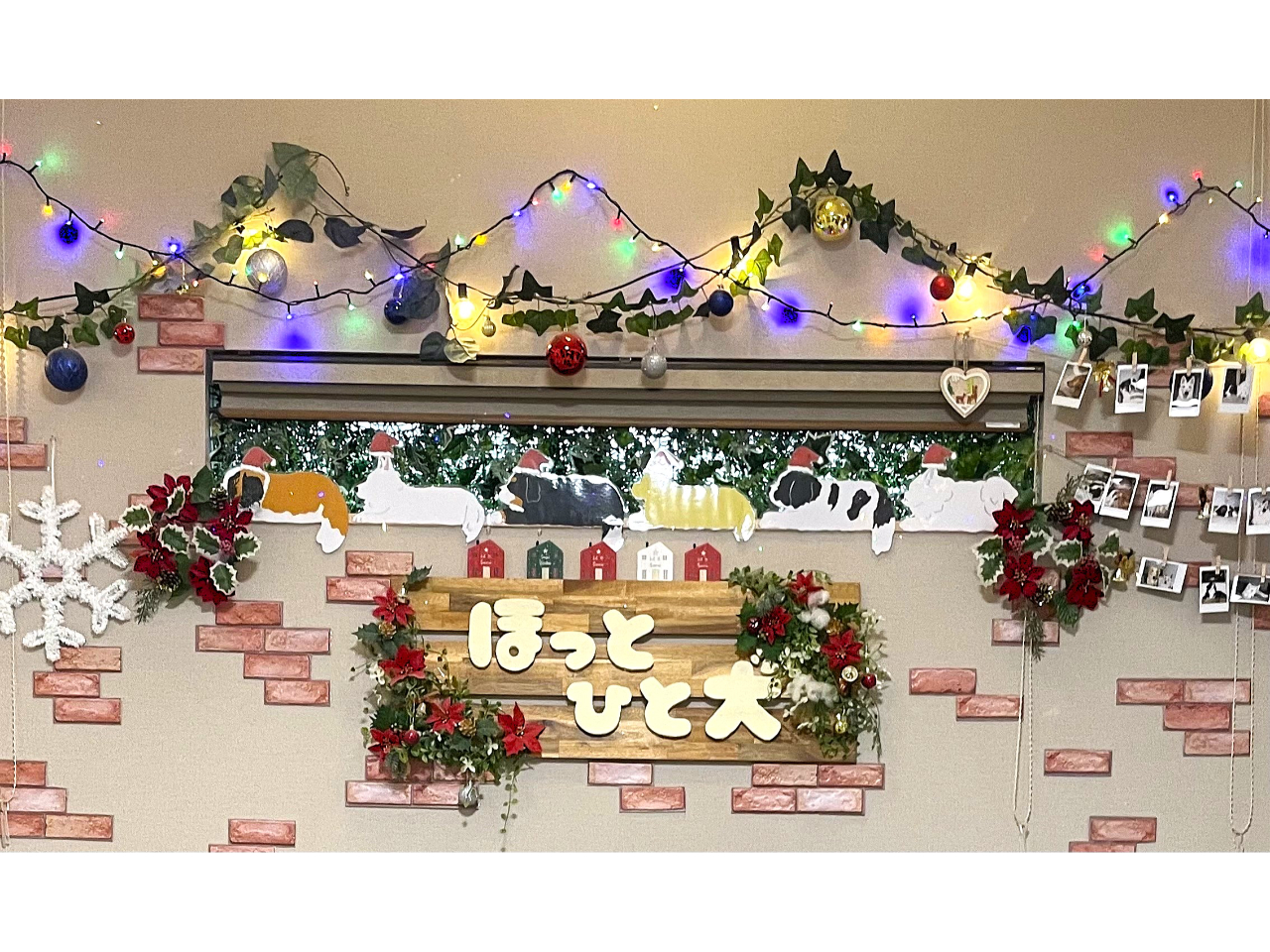 NX}X[h̓XłI݂ȃT^XqԂĂ܂I