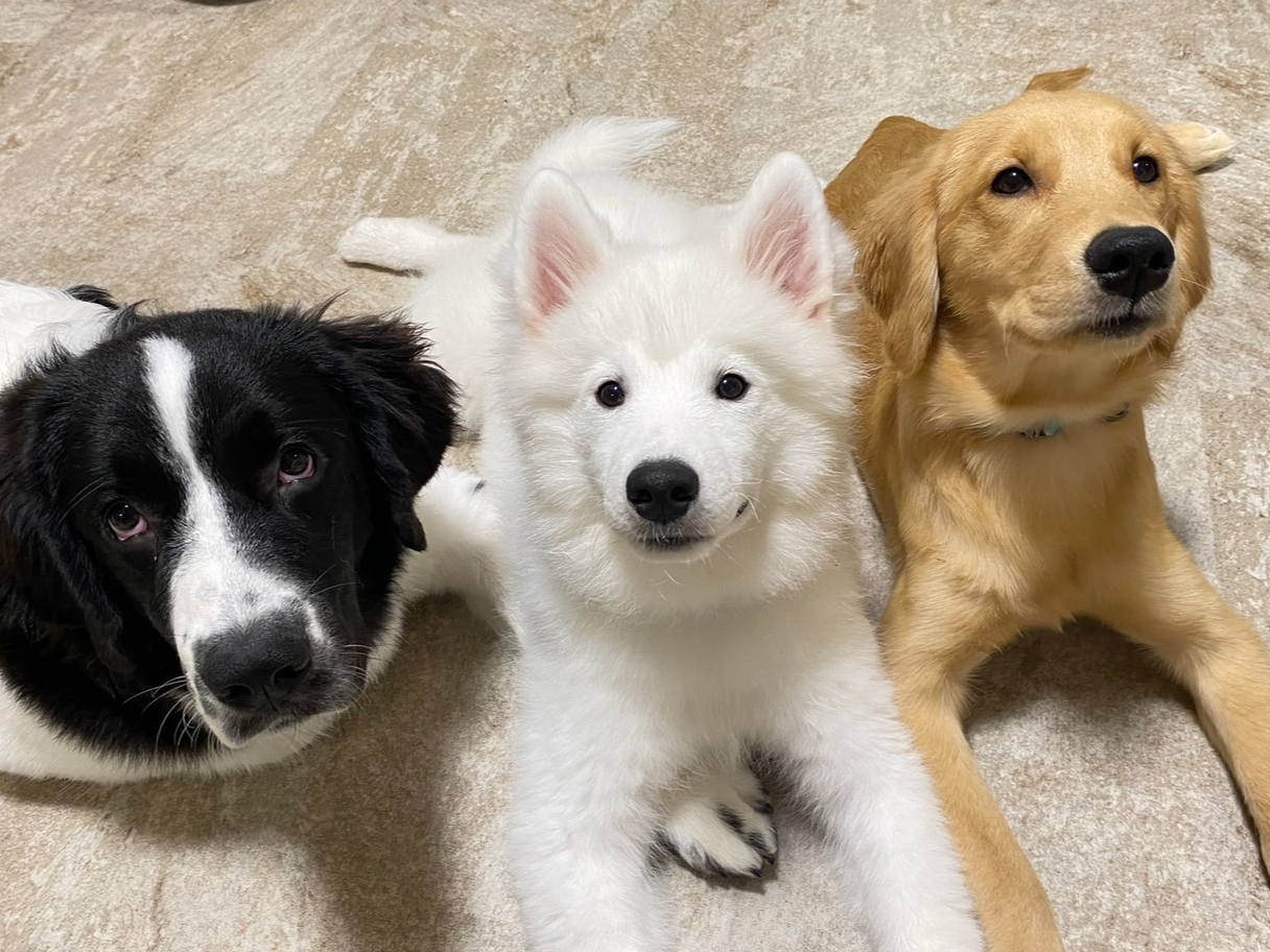 EA҂(S[fg[o[@)Aӂ(TGh)A҂(Zgo[i[h~j[t@hh)łIFǂ