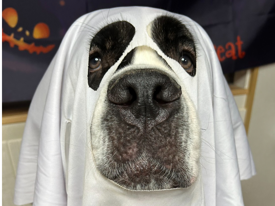 TikToktH[{1ԑZgo[i[hInEBRXvނI