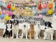 1周年記念は、みんなで集合写真を撮りました!みんなとっても大きくなりました!
