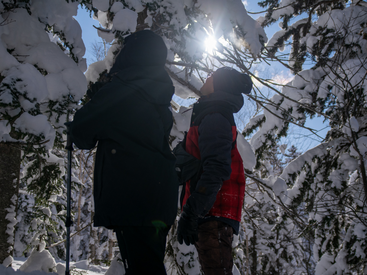 ���ɂ͓������݂����邱�Ƃ��A�܂��A��̂����Ɏc���������B�̍��Ղ��݂��邱�Ƃ��ł��܂��B