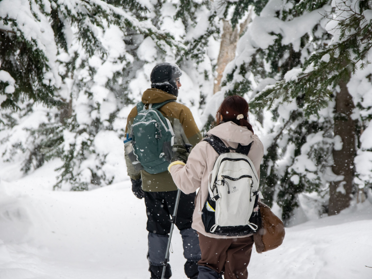 �l�̎�̉�����Ă��Ȃ��X�̒����K�C�h�������m���Ă��郋�[�g�ŕ������߁A�قƂ�ǐl�����܂���B�ߔN�ό��q�̑����ɂ��ǂ������G���Ă��܂����A���̐X�͂����Â��ł�