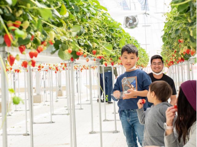 広々きれいなハウスでお子様もお楽しみいただけます。