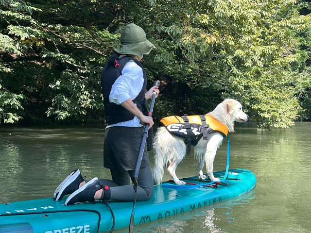 大型犬と一緒に乗れる!リードは携帯しましょう^^