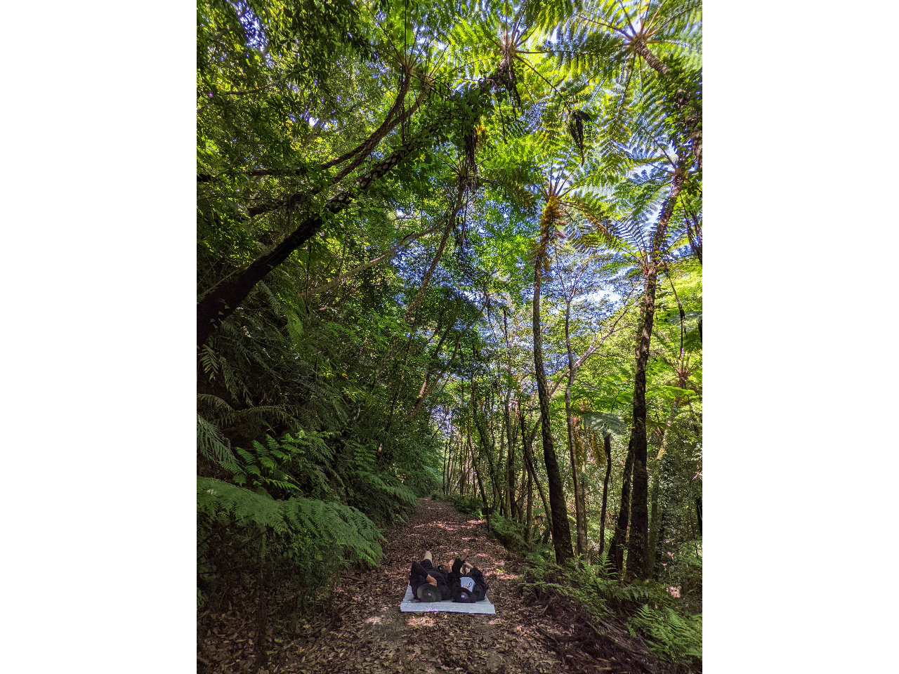 vCx[gcA[AQׂĂOKB厩R̒ŐQׂB傫[ċzăbNX^CB