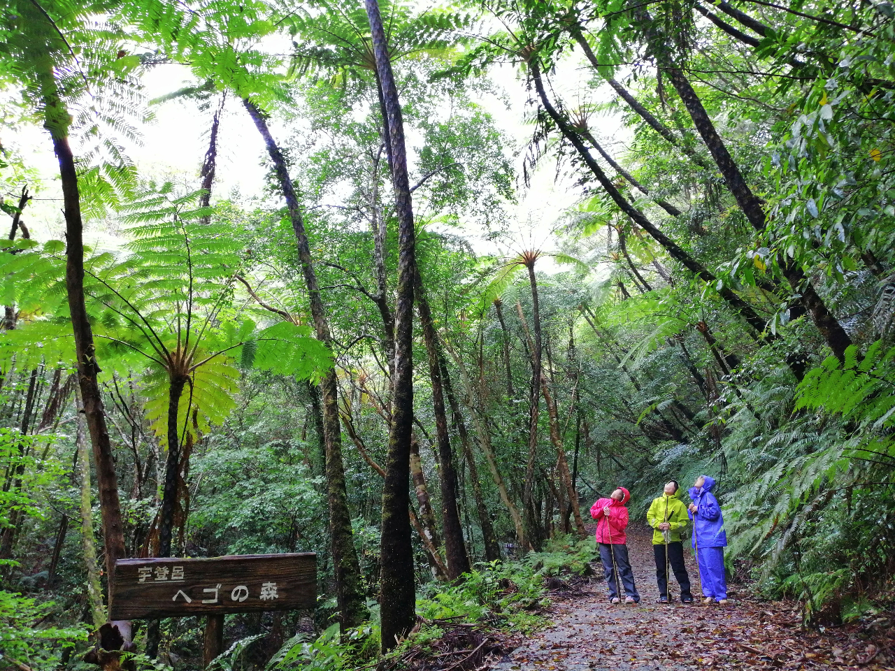 Egx[XāuqJQwS̐XvUBƖ΂qJQwS̐X͈̂ЂƌB