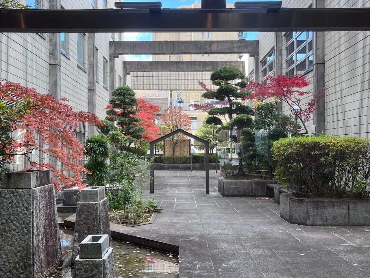 もくせい会館のお庭