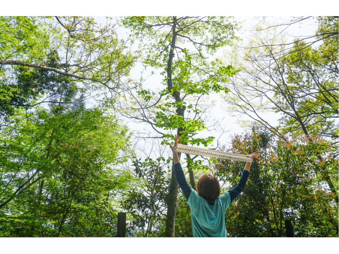 【5/10(日)限定!】樹海ハイク&自力整体~富士山のふもとで新緑の森歩き~【青...
