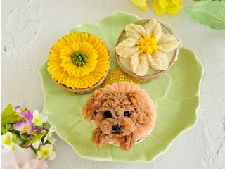 ご予約時、お作りになる愛犬様の犬種、毛色をお知らせください。近い色のあんこをご準備いたします。親子でご参加も可能です。