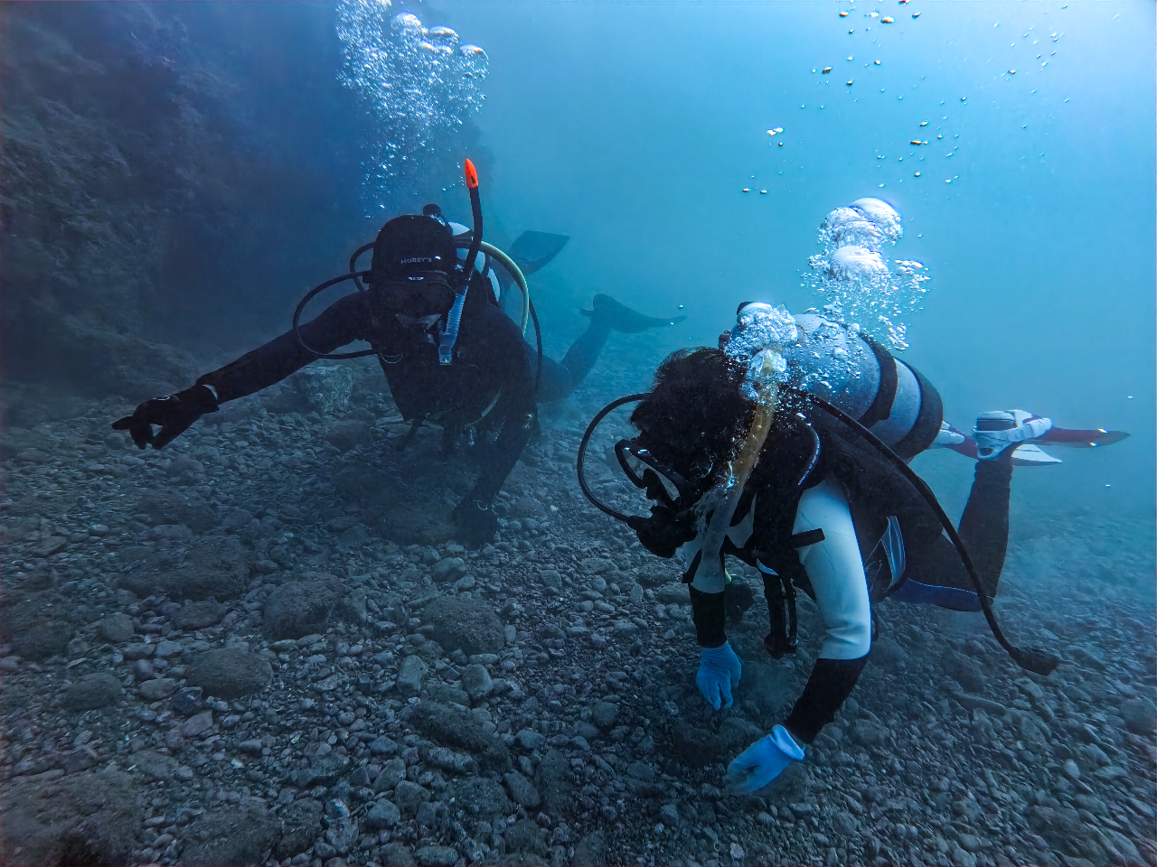 �C���X�g���N�^�[����ɂ��΂ŃT�|�[�g����̂ň��S�ł��B