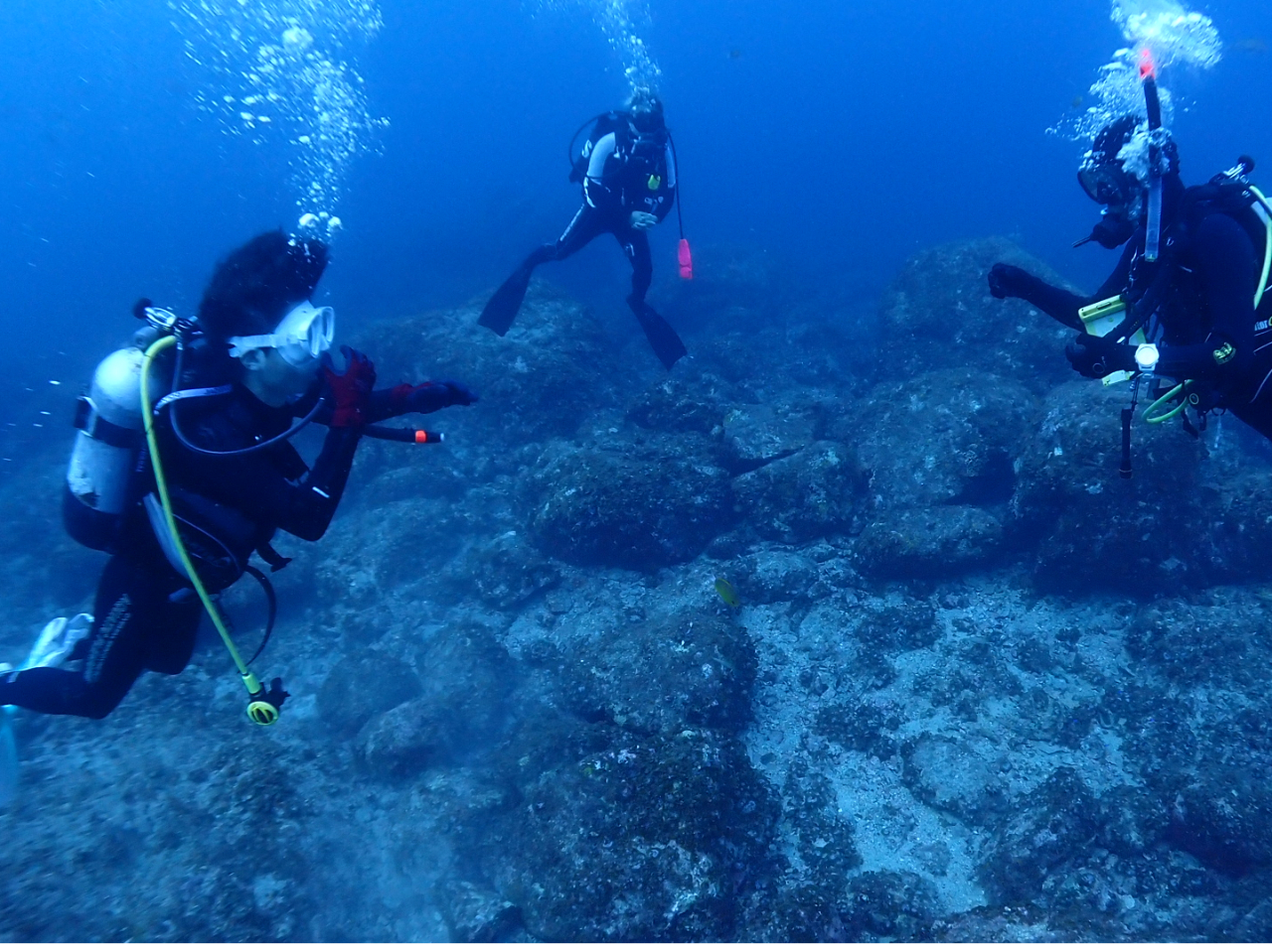 ���l�����ŃC���X�g���N�^�[�̃T�|�[�g����������󂯂Ȃ���_�C�r���O���\�ł��I�I�s���ȓ_�͂��C�y�ɂ��m�点���������I