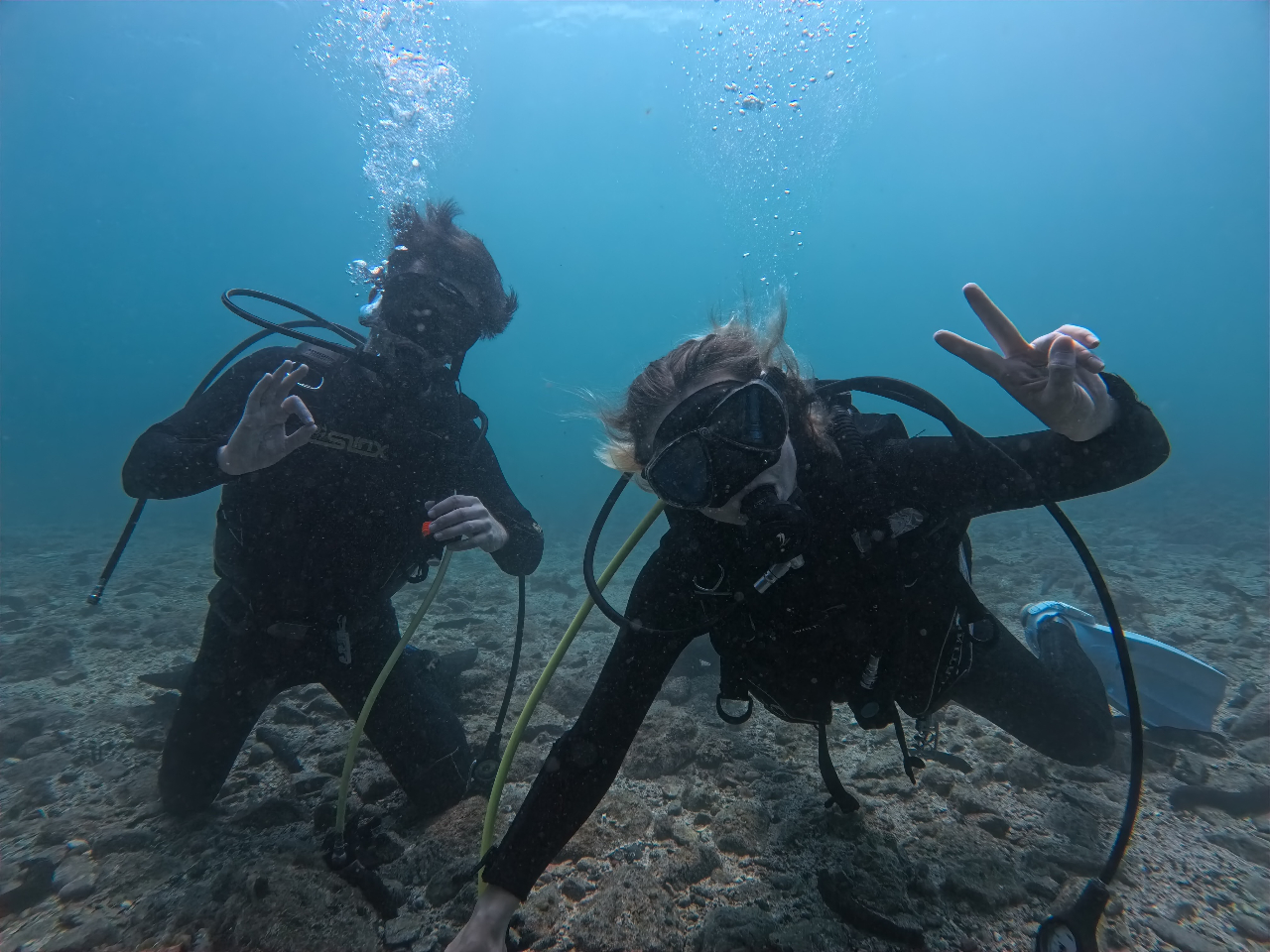 �C�O����̃Q�X�g������������z�����������Ă���܂��I�I�p��Ή����\�ł��I�I