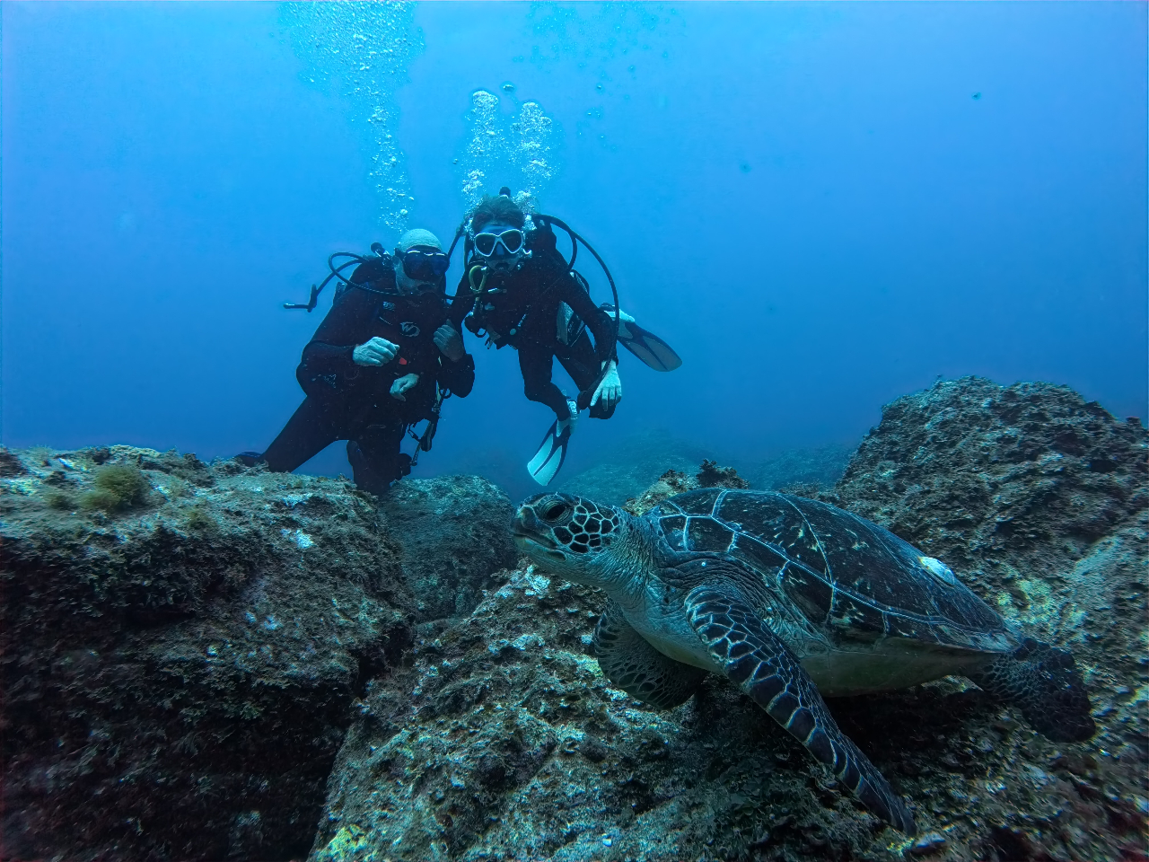 �^���ǂ���΁A���ߋ����ŃE�~�K���ɉ�����\�ł��I�I