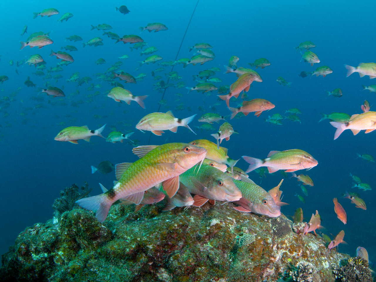 ~ɂȂiBx̂ŁAKɃ_CrOł܂