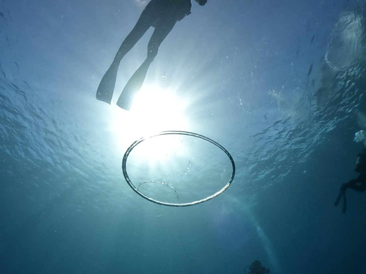 Hȍ~͂ƃ_CrOł`XBg̃NGXgʂ₷łiOOj