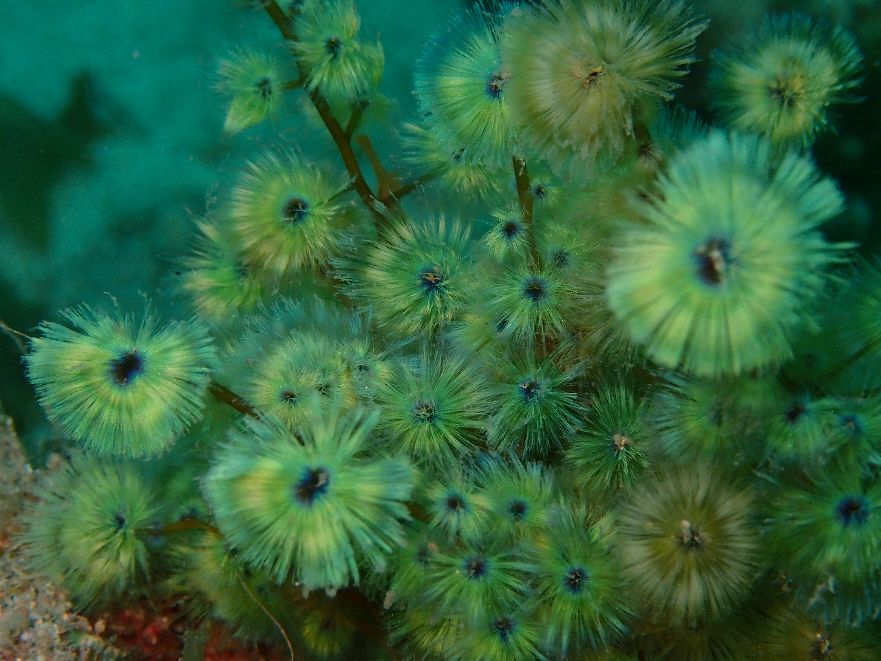 YȊCȂǂ~̌ǂBĂƂ͈Ⴄʂył܂