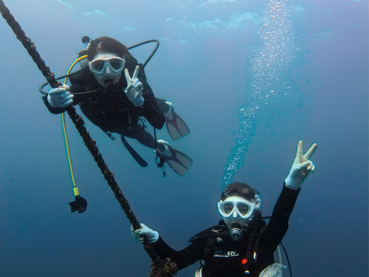 ��������Ƃ����T�|�[�g�̐��ň��S��