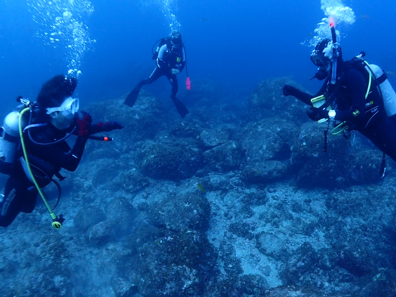 �C���X�g���N�^�[����������ƃT�|�[�g���܂�