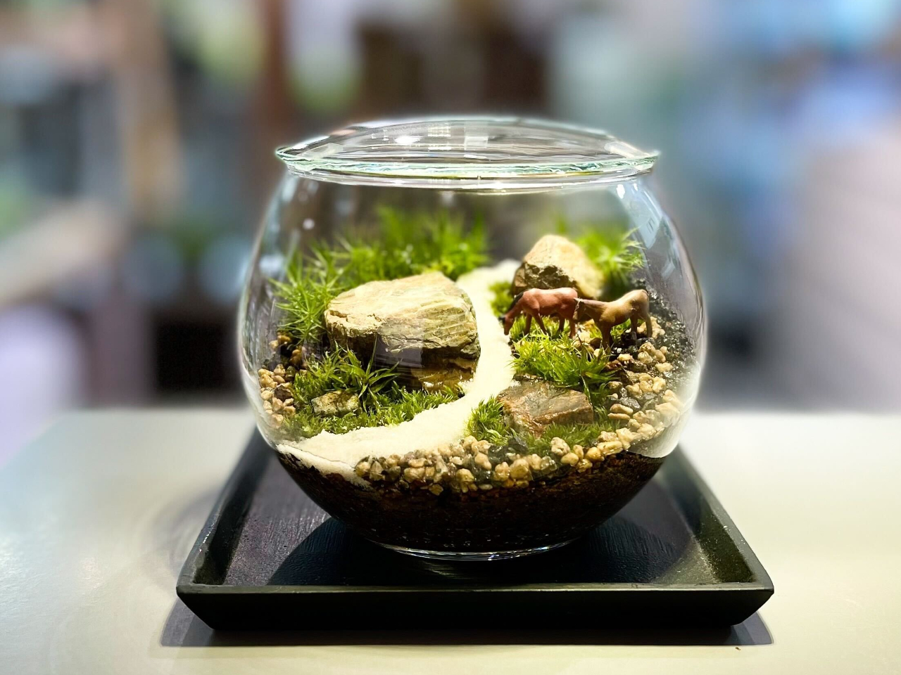 【苔のテラリウム体験】自宅や職場でも植物に囲まれた生活はいかがですか?女性や友達...