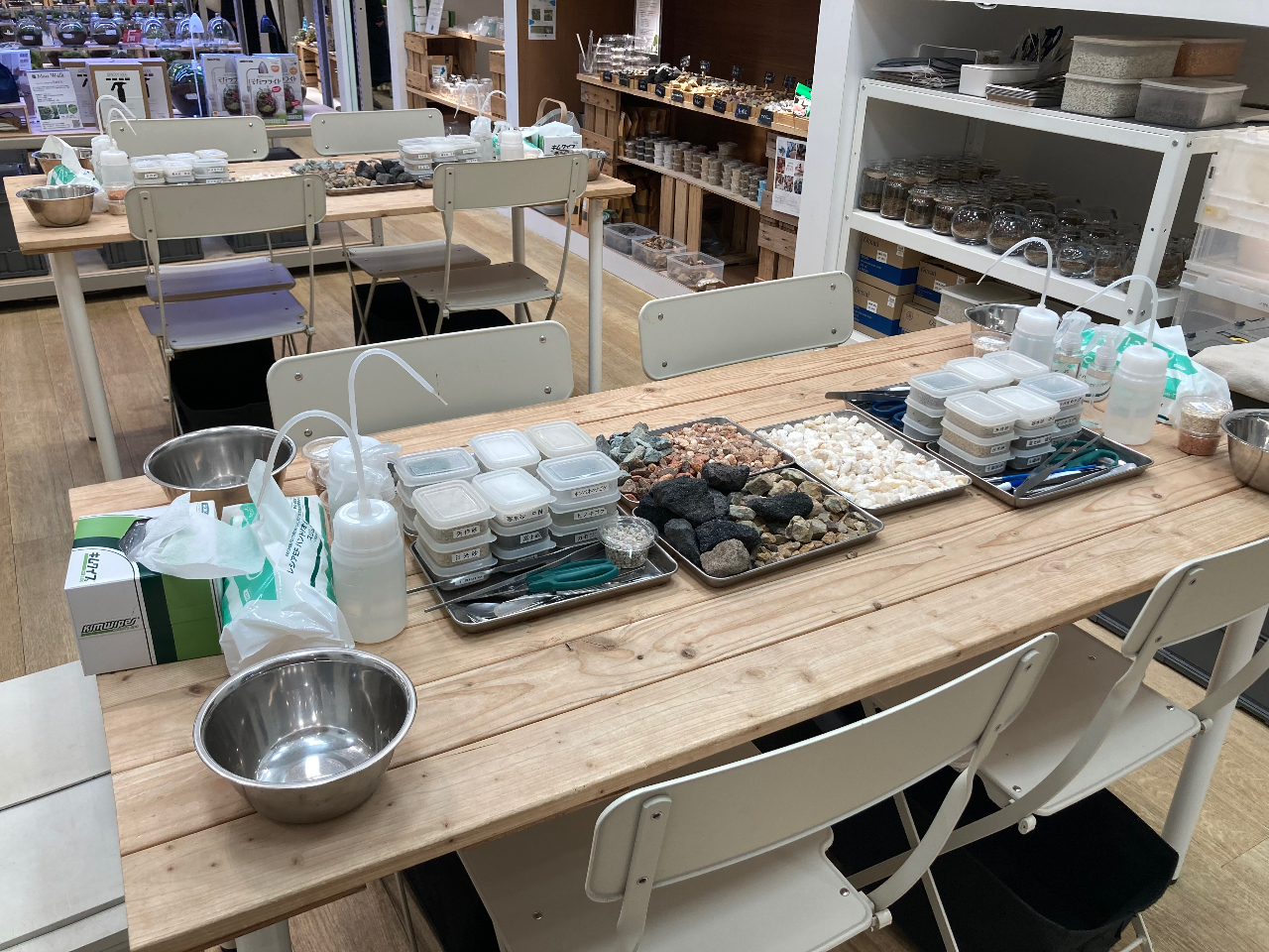イオンモール幕張新都心】しずくボトルで作る苔のテラリウム（90分