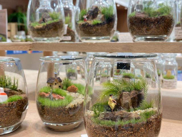 【イオンモール幕張新都心】しずくボトルで作る苔のテラリウム(90分)<苔のテラリ...