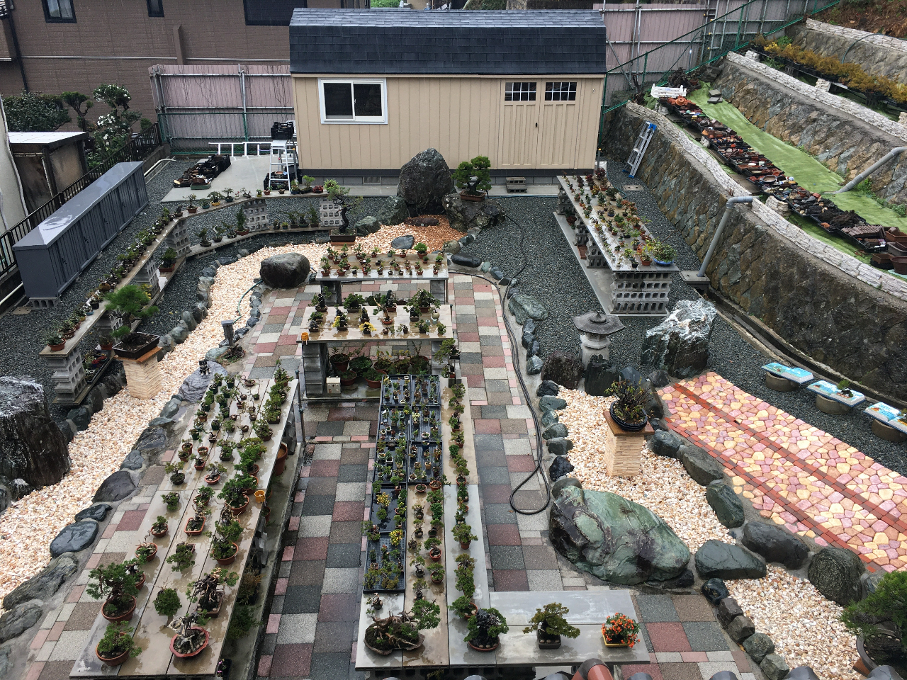盆栽園の様子