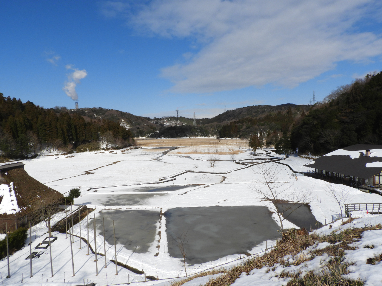 �~�̒��r�����n�̗l�q�ł��B�킭�킭�R����