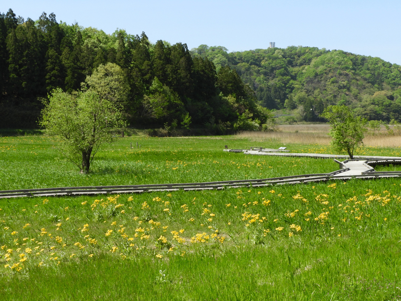 ȑtʂAV΂ƉFTIO}B₩ȋCςɋz݂ȂAƉ߂ĂłB