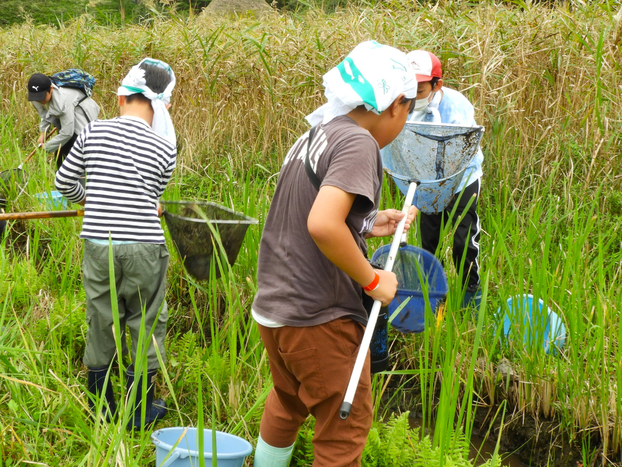 �O����̃A�����J�U���K�j�������Ԃł��������I���n�̐�������������邽�߁A�q�ǂ������ƂȂ��y���݂Ȃ���߂��Ă��܂��B�����Ԃ��o�P�c�����C���؂���܂���B