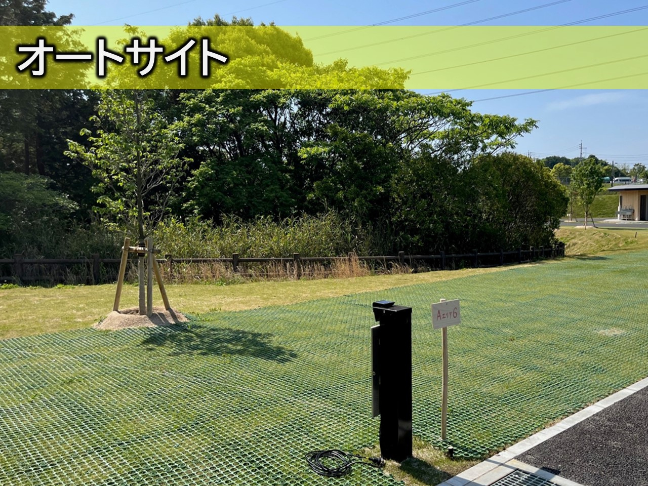 オートサイト　※電源付き