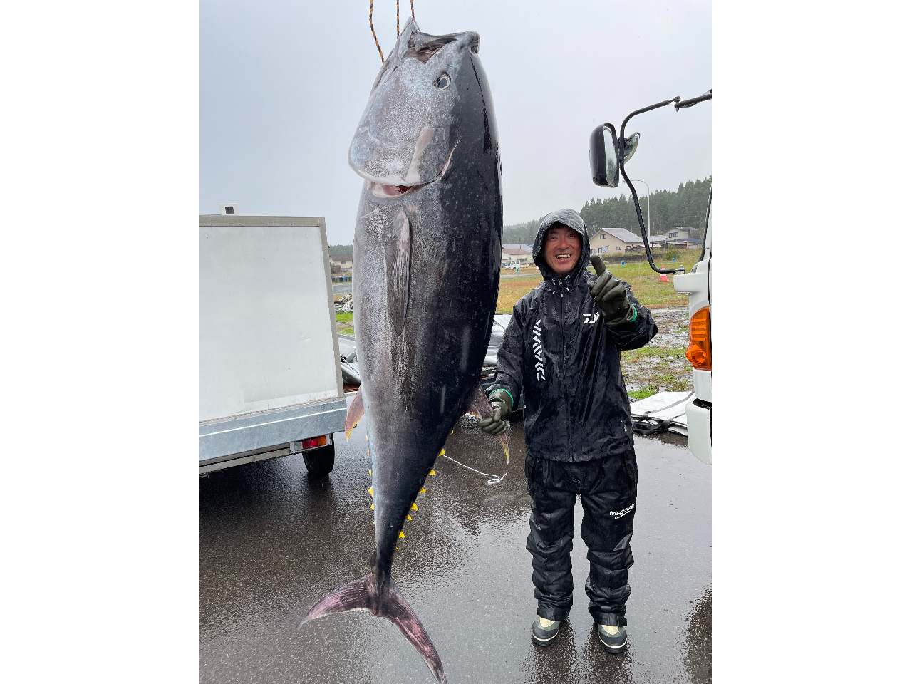 とってもビッグなクロマグロにビックリ!