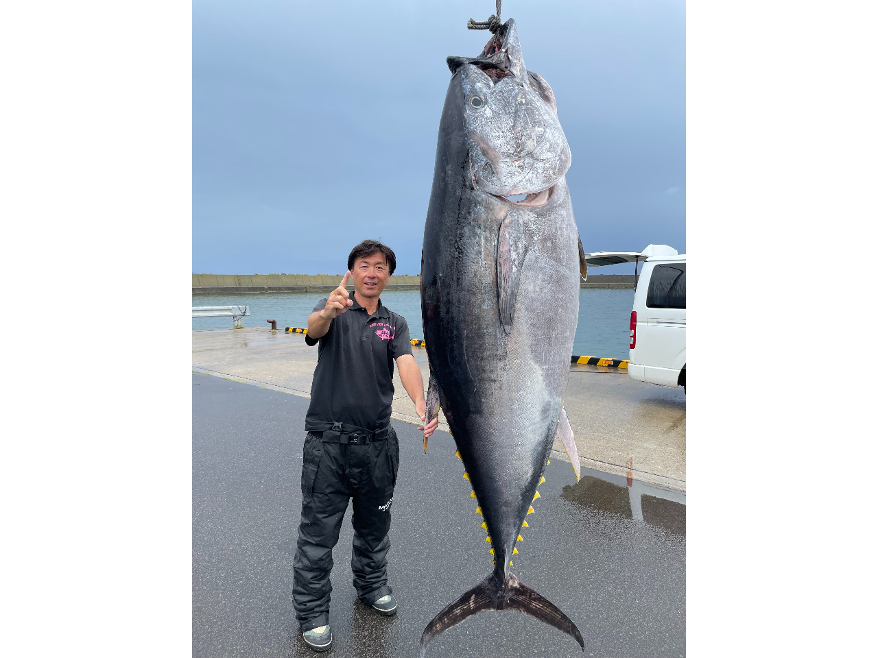 クロマグロの迫力をぜひご体感ください!!!